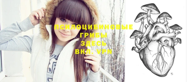 дурь Абдулино