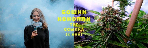 spice Абинск