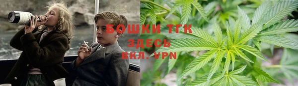 амф Алексеевка