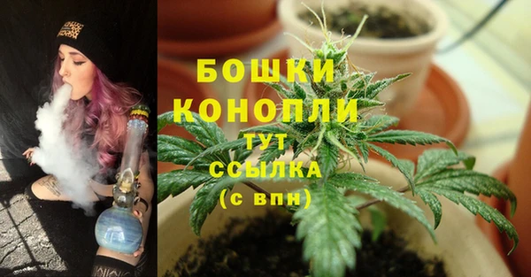 PSILOCYBIN Абаза
