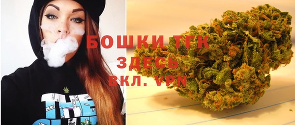 PSILOCYBIN Абаза