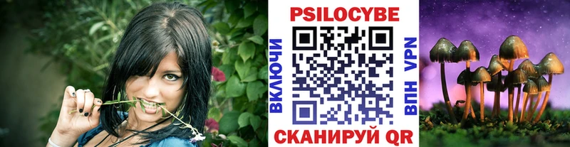 где купить наркотик  Жердевка  Псилоцибиновые грибы Psilocybine cubensis 