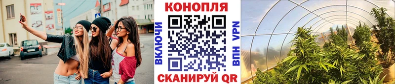 Марихуана сатива  Жердевка 